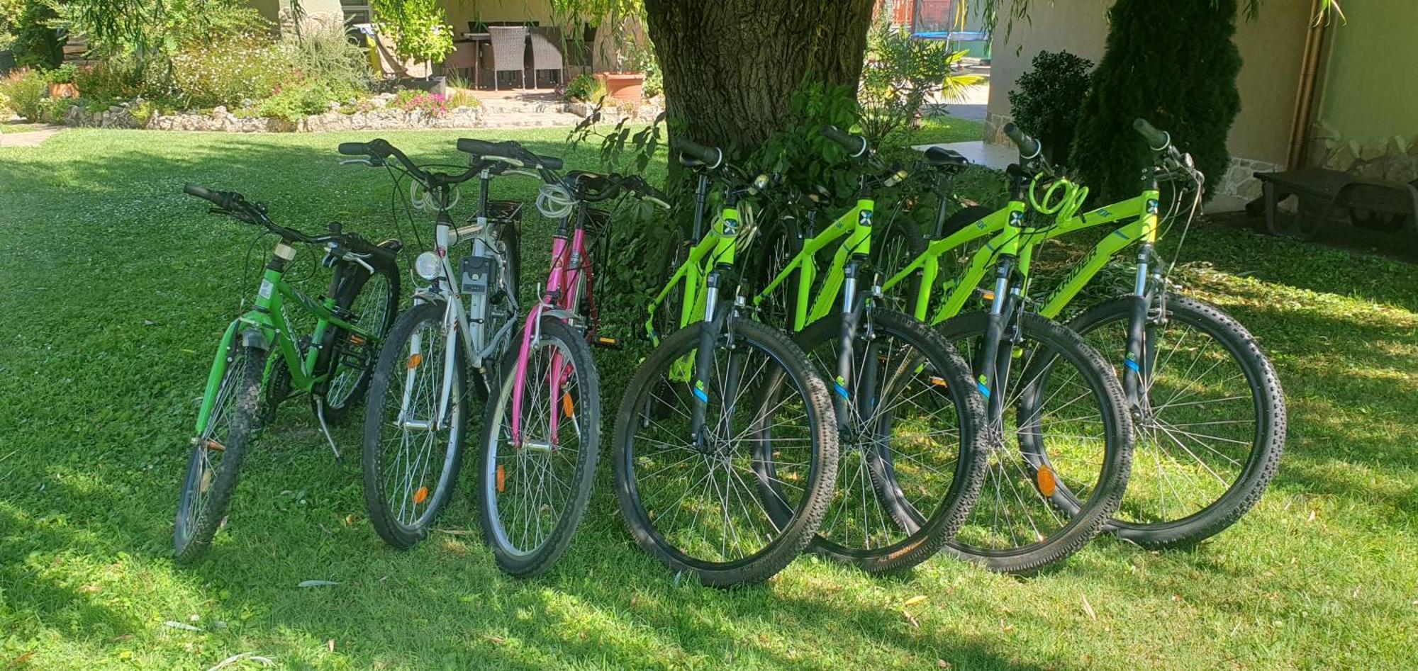 Tamasi Villa- Nyaralohaz Balatonkeresztúr Exteriör bild