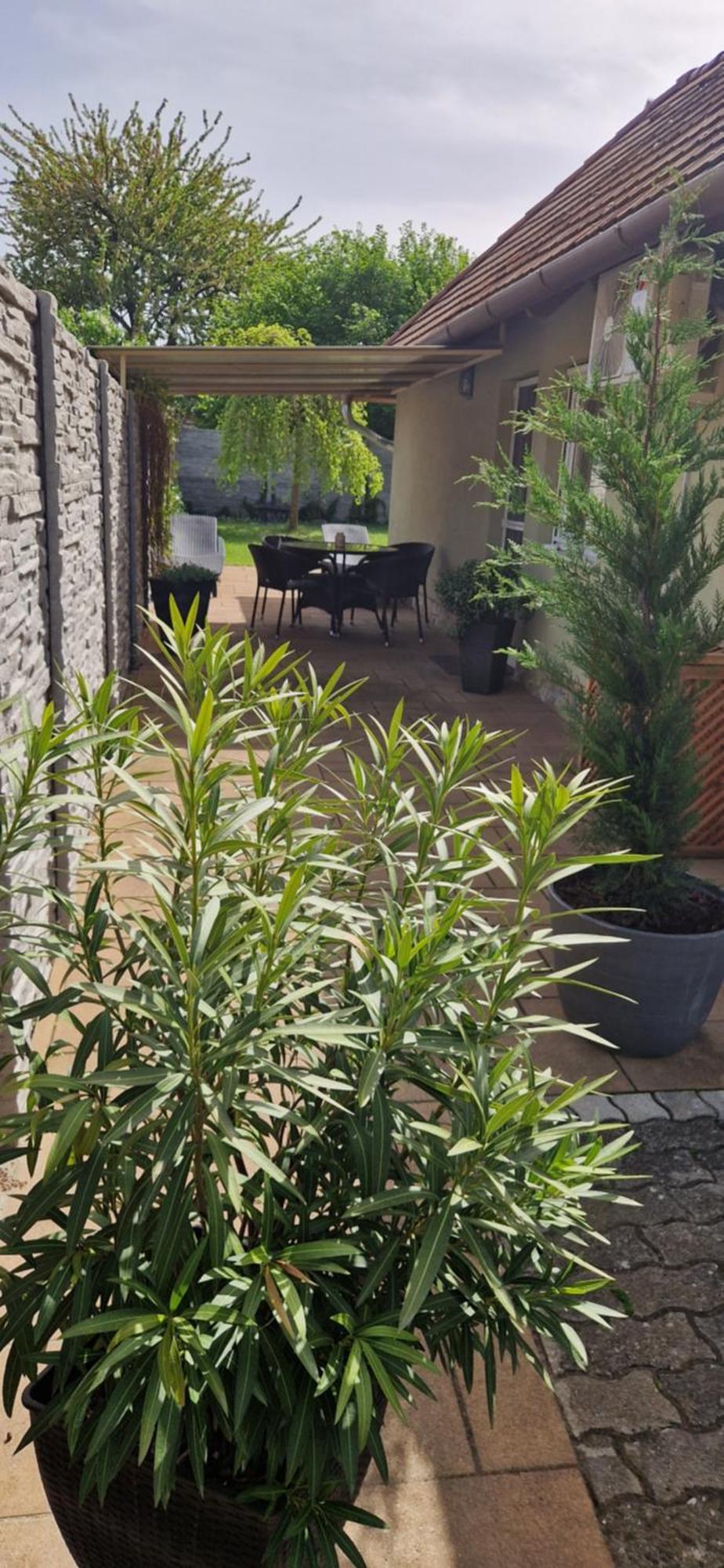 Tamasi Villa- Nyaralohaz Balatonkeresztúr Exteriör bild